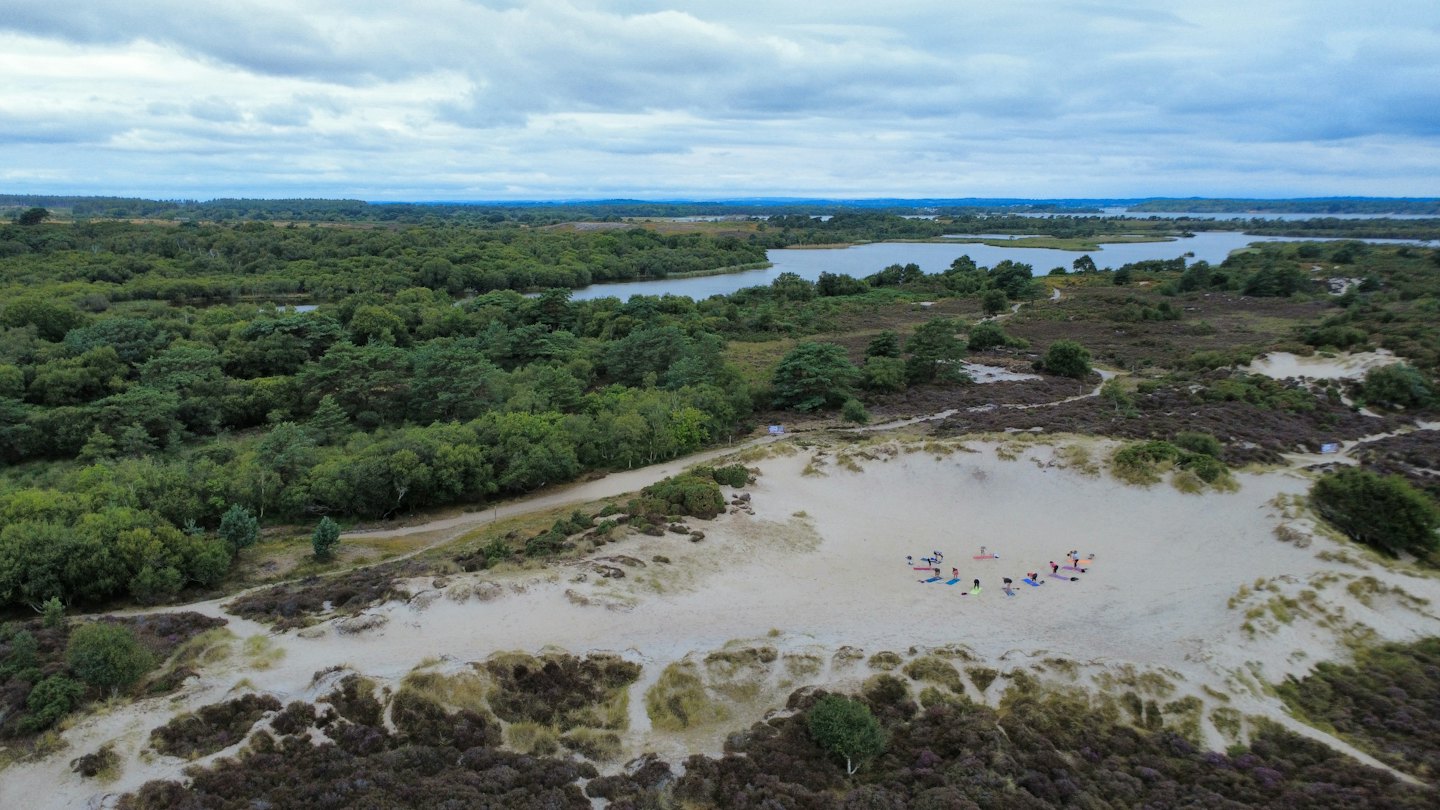 Eine Gruppe von Menschen praktiziert Yoga auf einer Sanddüne.